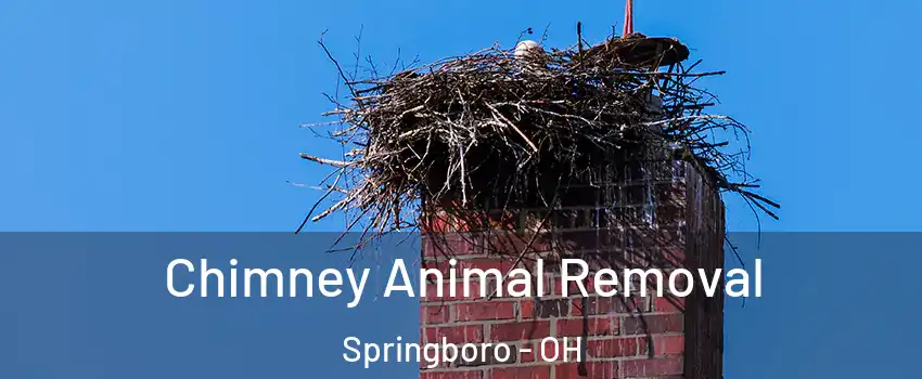  Chimney Animal Removal Springboro - OH