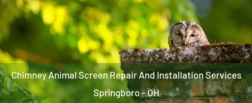  Chimney Animal Screen Repair And Installation Services Springboro - OH