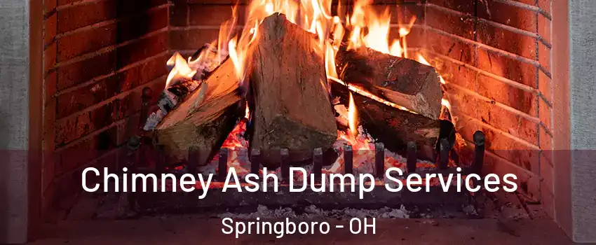  Chimney Ash Dump Services Springboro - OH