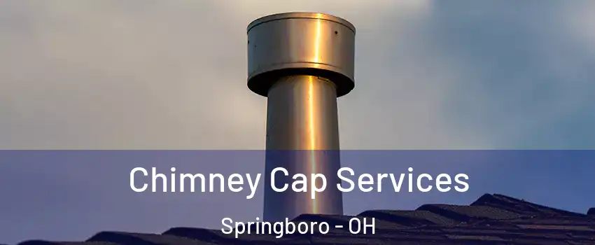  Chimney Cap Services Springboro - OH