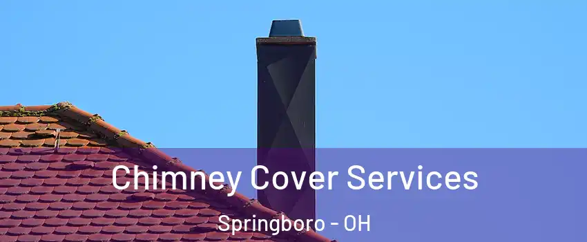  Chimney Cover Services Springboro - OH