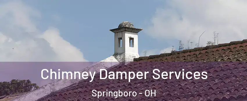  Chimney Damper Services Springboro - OH