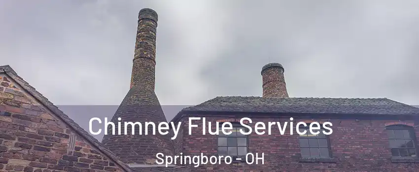  Chimney Flue Services Springboro - OH