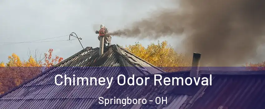  Chimney Odor Removal Springboro - OH