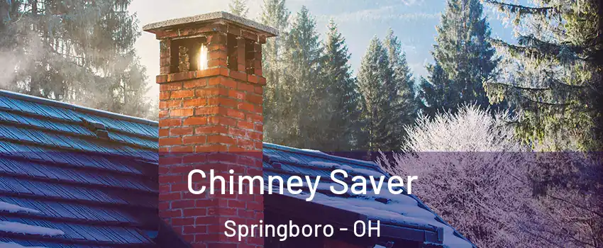  Chimney Saver Springboro - OH