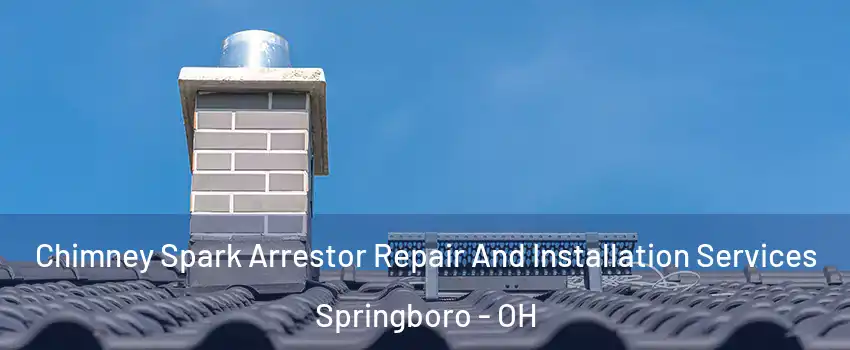  Chimney Spark Arrestor Repair And Installation Services Springboro - OH