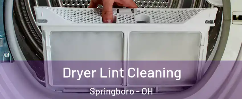  Dryer Lint Cleaning Springboro - OH