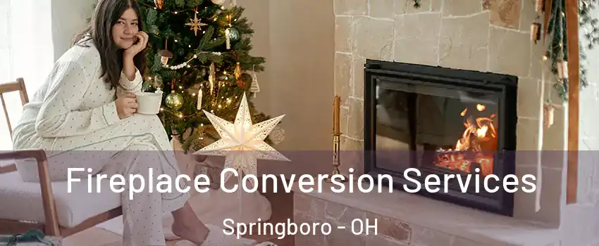  Fireplace Conversion Services Springboro - OH