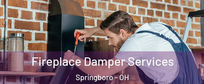  Fireplace Damper Services Springboro - OH