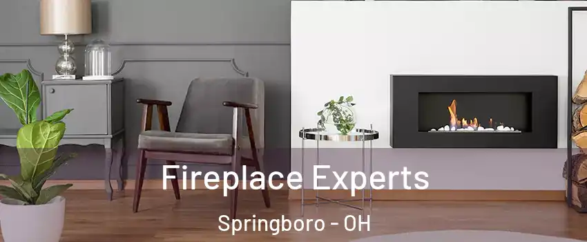  Fireplace Experts Springboro - OH