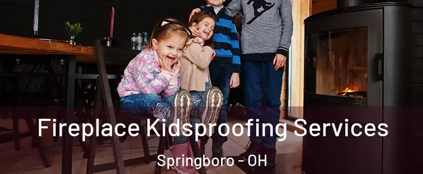  Fireplace Kidsproofing Services Springboro - OH