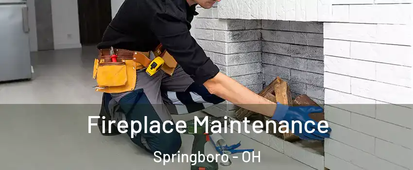  Fireplace Maintenance Springboro - OH