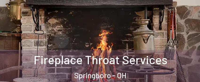  Fireplace Throat Services Springboro - OH