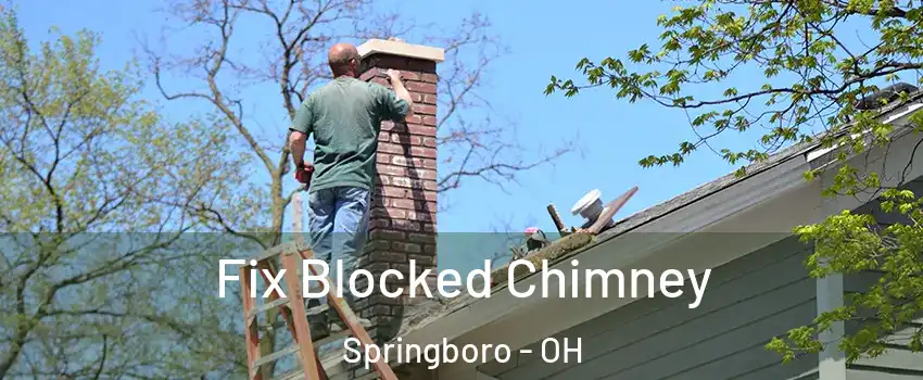  Fix Blocked Chimney Springboro - OH