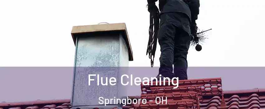  Flue Cleaning Springboro - OH