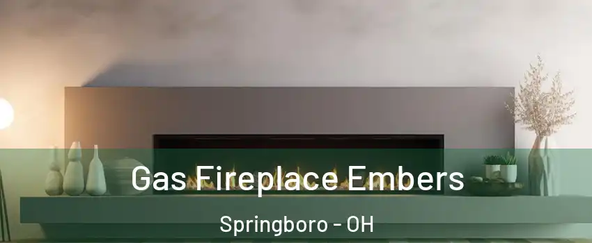  Gas Fireplace Embers Springboro - OH