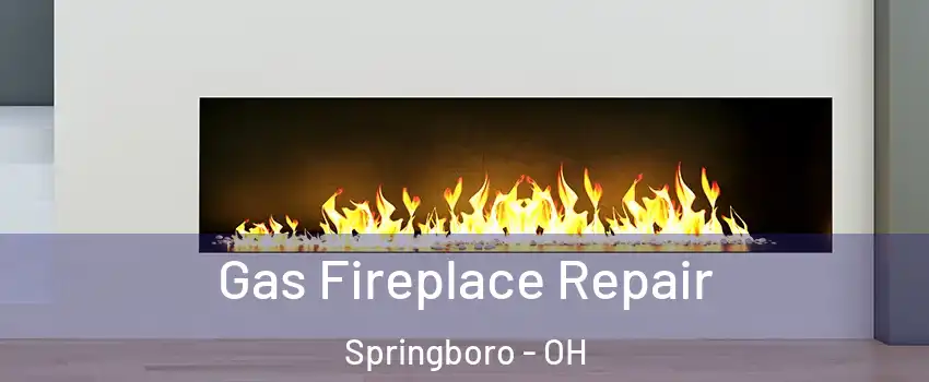  Gas Fireplace Repair Springboro - OH