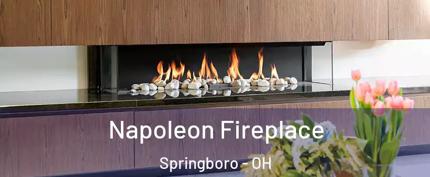  Napoleon Fireplace Springboro - OH