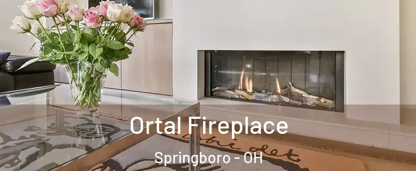  Ortal Fireplace Springboro - OH