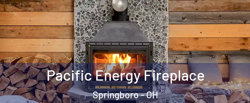  Pacific Energy Fireplace Springboro - OH