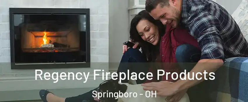  Regency Fireplace Products Springboro - OH