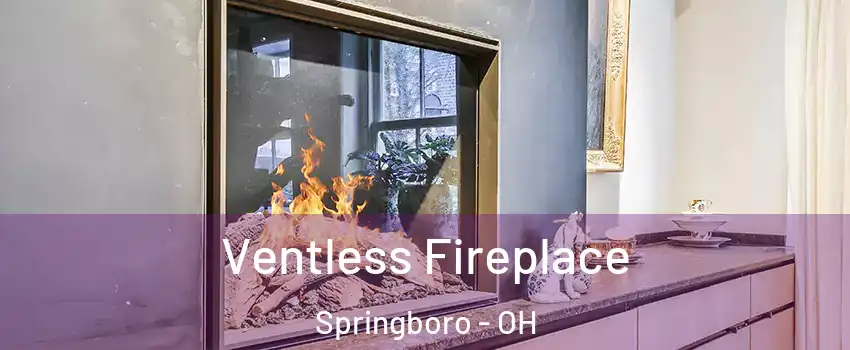  Ventless Fireplace Springboro - OH